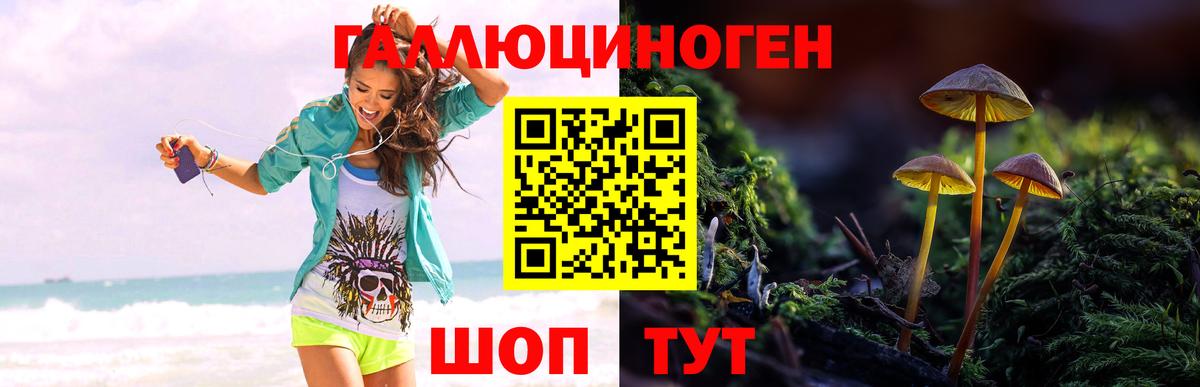 Галлюциногенные грибы Magic Shrooms  сколько стоит  Батайск  Псилоцибиновые грибы мицелий  Вход с VPN 