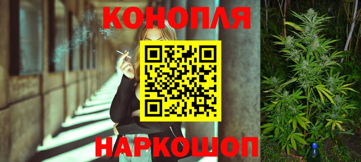 Каннабис OG Kush Батайск